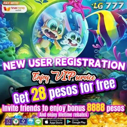 36D 36D